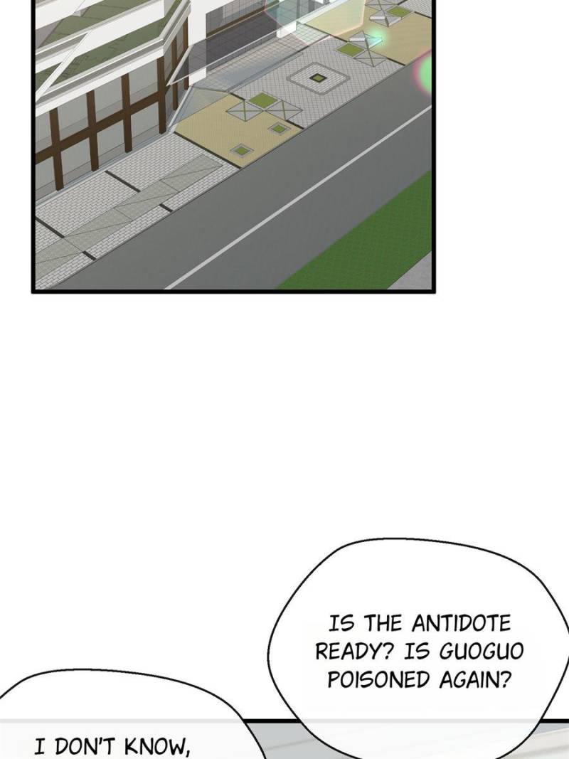 81787900 800 1067 55569